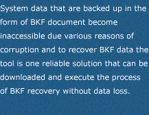 BKF Repair