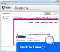 Screenshot Access Recovery software