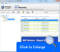 Screenshot BKF Repair