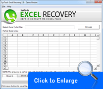 Screenshot Excel Recovery