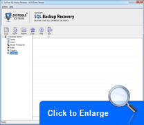Screenshot SQL Backup Recovery Converter