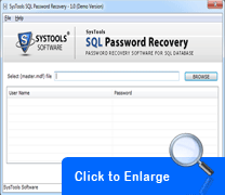 Screenshot SQL Password Recovery