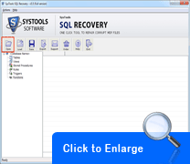 Screenshots SQL Recovery Software