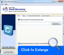 Screenshot Word Recovery Software