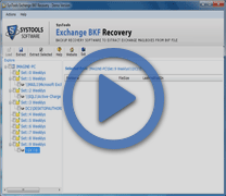 Watch step-by-step video of Exchange BKF Recovery