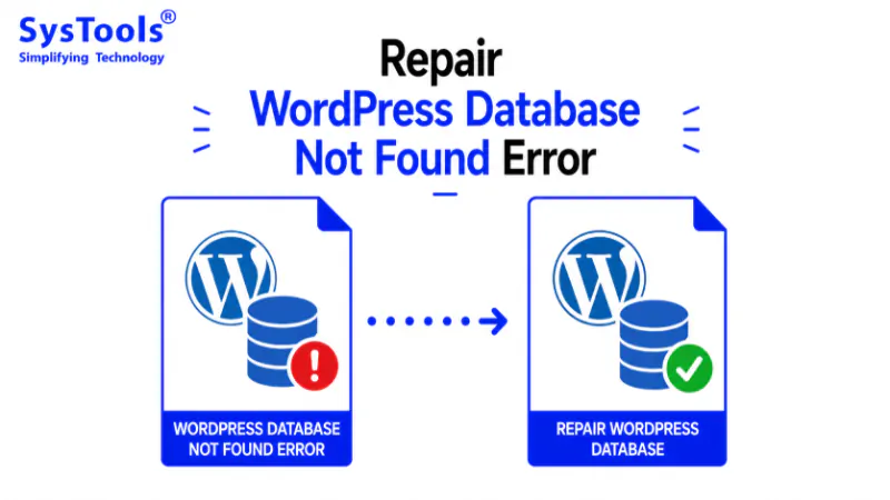 Effective Ways to Fix WordPress Database Not Found Error