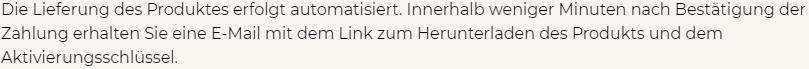 elektronische lieferung