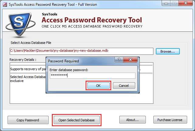 Access Password Recovery Tool Remove Password from MDB & ACCDB