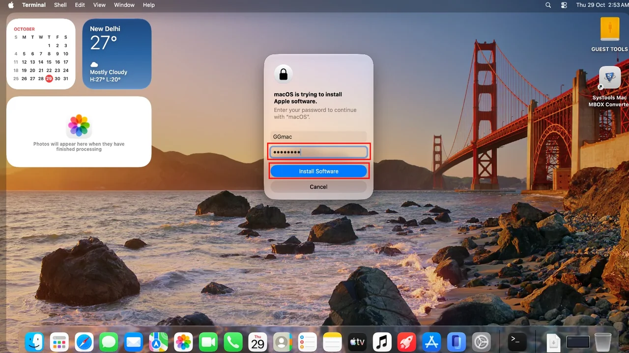Password field filled in with the Install Software button highlighted