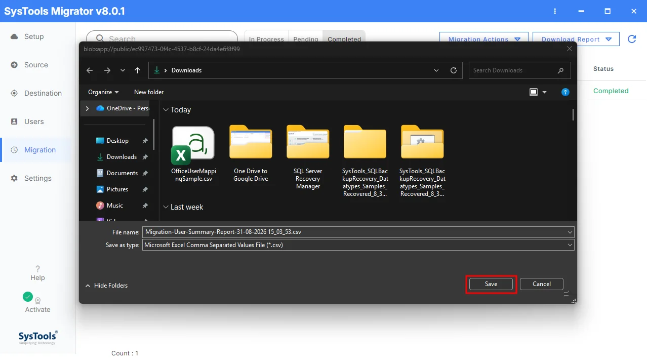save summary report