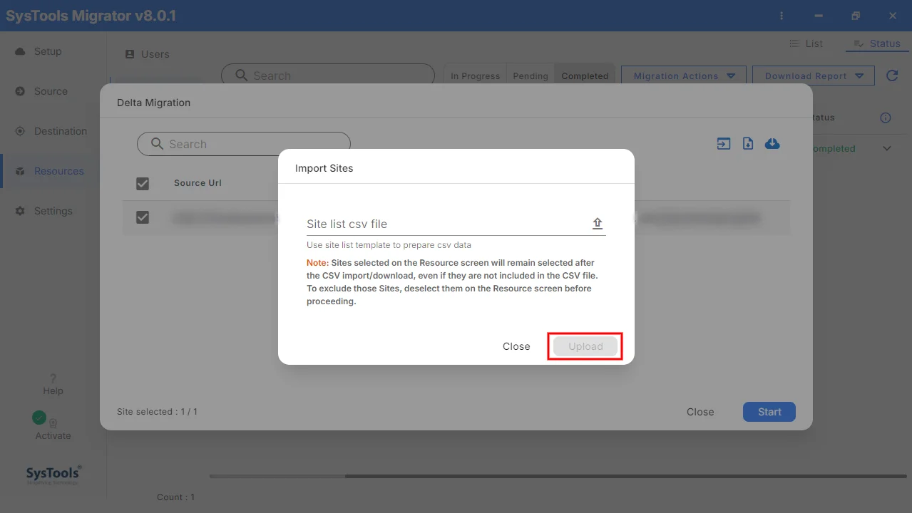 summary report options